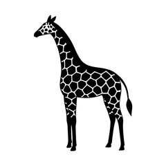 Naklejka premium Giraffe animal wildlife safari africa mammal zoo silhouette art