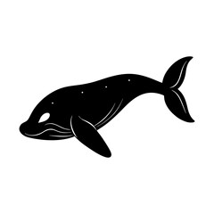Obraz premium Whale ocean mammal sea marine life aquatic animal silhouette