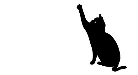 black and white cats silhouette