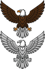 Obraz premium Eagle flying front view line art and color vector illustration