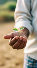 A young plant held gently in a hand.