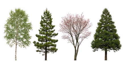 Fototapeta premium Set of isolated deciduous and coniferous trees with transparent background, ideal for landscape design and digital artwork