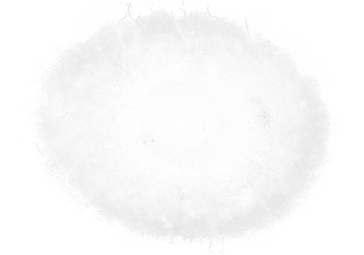 Soft fluffy white circular shape with a subtle texture isolated on a clean transparent background for design elements