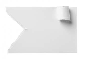 Torn white paper with a jagged left edge and a rolled section on the right isolated on white isolated on transparent background