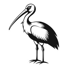 Elegant Black and White Ibis Illustration Standing Tall A Majestic Avian Representation in Simplistic Design and Striking Contrast