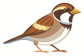 Charming Illustration of a Sparrow Bird with Detailed Plumage and a Lively Pose Against a Clean White Backdrop