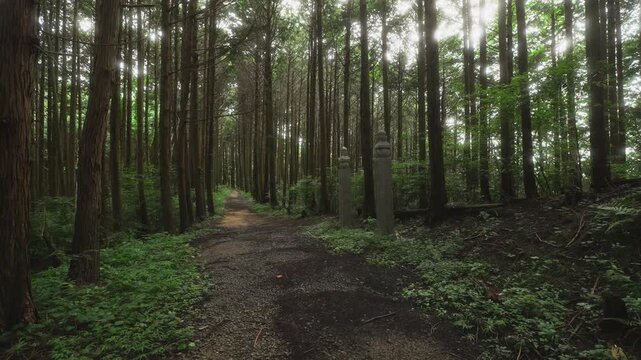 高野参詣道 町石道 144町石「一里石」和歌山県かつらぎ町　Historic Ichiri-ishi Milestone &ndash; 144th Stone Marker on the Koyasan Choishi-michi Trail, Katsuragi, Wakayama Prefecture
