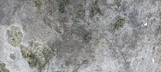 Mossy Grunge Wall Texture. Close-up of an old wall with patchy moss and weathered texture. Earthy...
