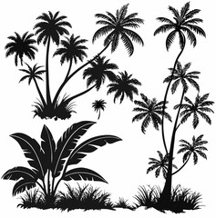 Vector  silhouette illustration of various tropical plants including palm trees and banana plants in black