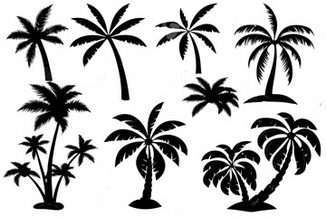 Obraz premium Vector silhouette of several palm trees of varying sizes against a white background in a simple illustration