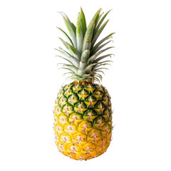Fototapeta premium Single pineapple, yellow-green