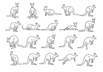 Comprehensive vector set of kangaroos in various poses, great for Australian wildlife and animal themes.