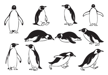 Charming vector set of penguins in various poses, perfect for nature and cold climate themes.