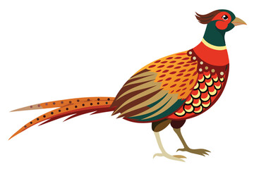Colorful Illustration of a Ring Necked Pheasant Featuring Ornate Plumage Patterns and Elegant Long Tail Feathers against a White Background