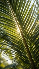 Naklejka premium Radiating summer vibes and pure relaxation.