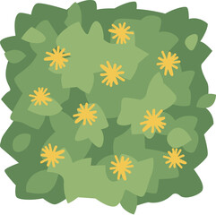 Top view plant landscape design element