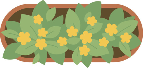 Top view plant landscape design element