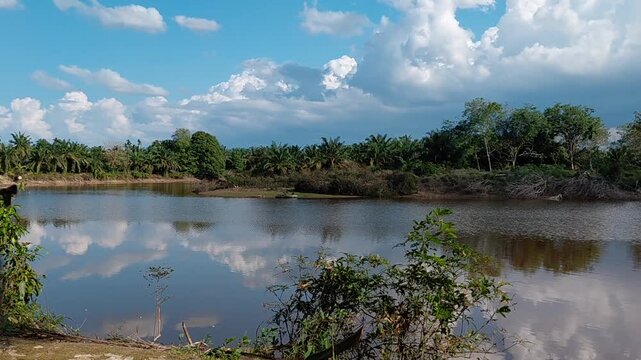 view of the Kampar River from one corner on the edge of the Kampar forest