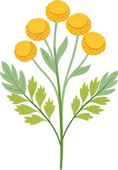 Fototapeta premium Vibrant yellow flower cluster with green leaves