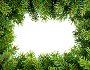Minimalist Green Christmas Background Framed with Fir Tree Branches, Transparent PNG