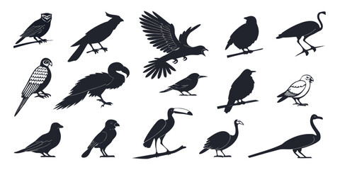 Obraz premium Collection of diverse bird silhouettes in various poses isolated on white background silhouette