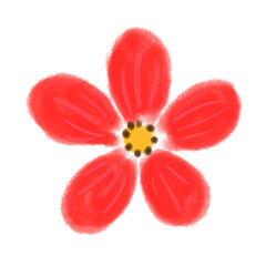red flower isolated on white