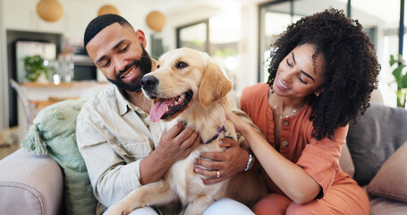 Couple, dog and happy on sofa, relax and bonding with care, connection or stroke in lounge. People, woman and man with pet, golden retriever or love with cuddle for trust in relationship at house