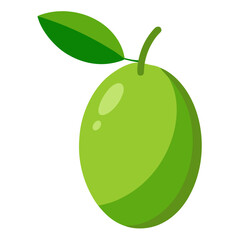 Green olive fruit vector on white background.