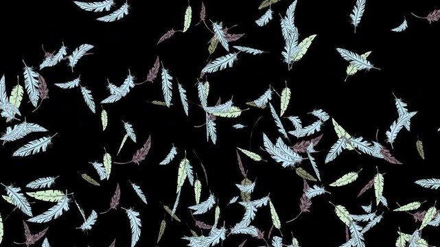 手描き線画のカラフルな羽が中心からふわっと弾ける[4K-背景透過] Feather Floating Series:Hand-Drawn Line Feathers Burst Out from the Center[with Alpha Channel / Transparent Background]4K
