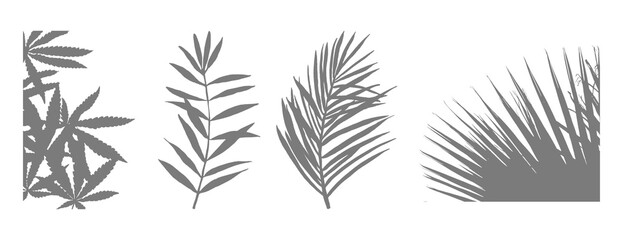 Four different stylized botanical leaf patterns on a black background
