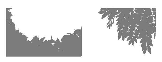 Abstract monochrome composition of dark foliage against a black background