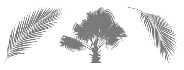Stylized silhouette of a palm tree with fronds on a black background