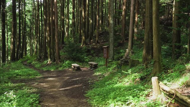 The 147th Stone Marker at Settai-ba Rest Point on the Koyasan Choishimichi Pilgrimage Trail &ndash; UNESCO World Heritage Route in Katsuragi Town, Wakayama Prefecture, Japan　世界遺産 高野参詣道町石道「接待場」 和歌山県かつらぎ町