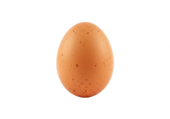 A single brown speckled egg isolated on a plain transparent background, representing a fresh ingredient