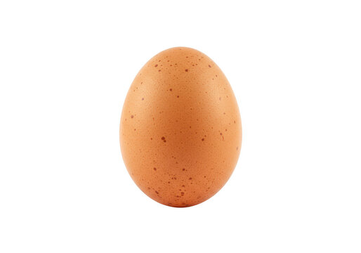 A single brown speckled egg isolated on a plain transparent background, representing a fresh ingredient