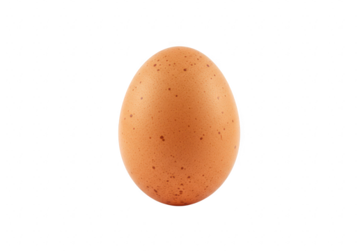 A single brown speckled egg isolated on a plain transparent background, representing a fresh ingredient
