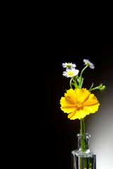背景素材の花
