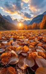 On the afternoon of the autumn equinox, a gentle breeze brushes by