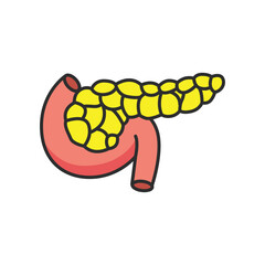 Pancreas illustration