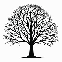 Obraz premium Full Black Silhouette of Leafless Deciduous Tree with Many Branches Vector