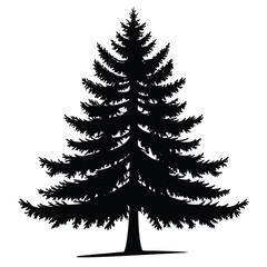 Fototapeta premium Full Black Silhouette of Tall Pine Tree with Dense Needle Branches Vector