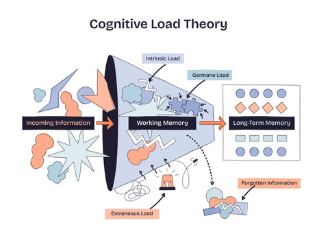 Cognitive Load Theory shows how incoming information is processed in working memory before reaching long-term memory. Doodle style diagram