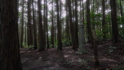 高野参詣道 町石道「145町石」和歌山県かつらぎ町 Historic 145th Choishi on the Koyasan Pilgrimage Path – Katsuragi Town, Wakayama Prefecture