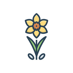 Color illustration icon for daffodil
