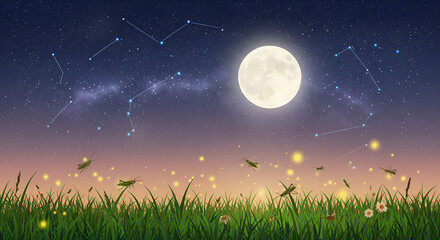 Night sky above a grassy meadow