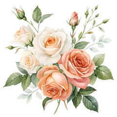 Fototapeta premium Delicate Watercolor Rose Bouquet on transparent background