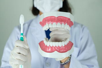 hands of a dentist, he is demonstrating how to brush your teeth properly. To clean the teeth and...