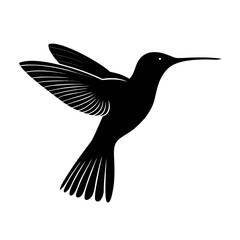 black silhouette of humming bird on white background © MDSHAHIN