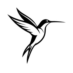 Fototapeta premium black and white silhouette of a bird