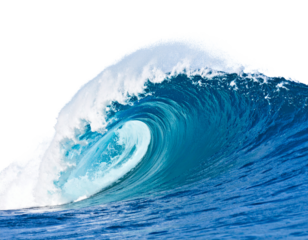 A powerful tsunami wave, cresting dramatically, isolated on a white background, representing natural forces and disaster.